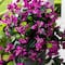 28" UV Resistant Artificial Bougainvillea Hanging Plants, 2ct.